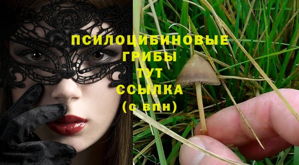 стафф Абинск