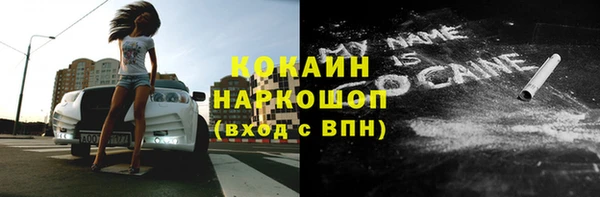 ешки Алексин