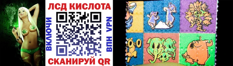 где продают наркотики  Болхов  Наркотические марки 1,8мг 
